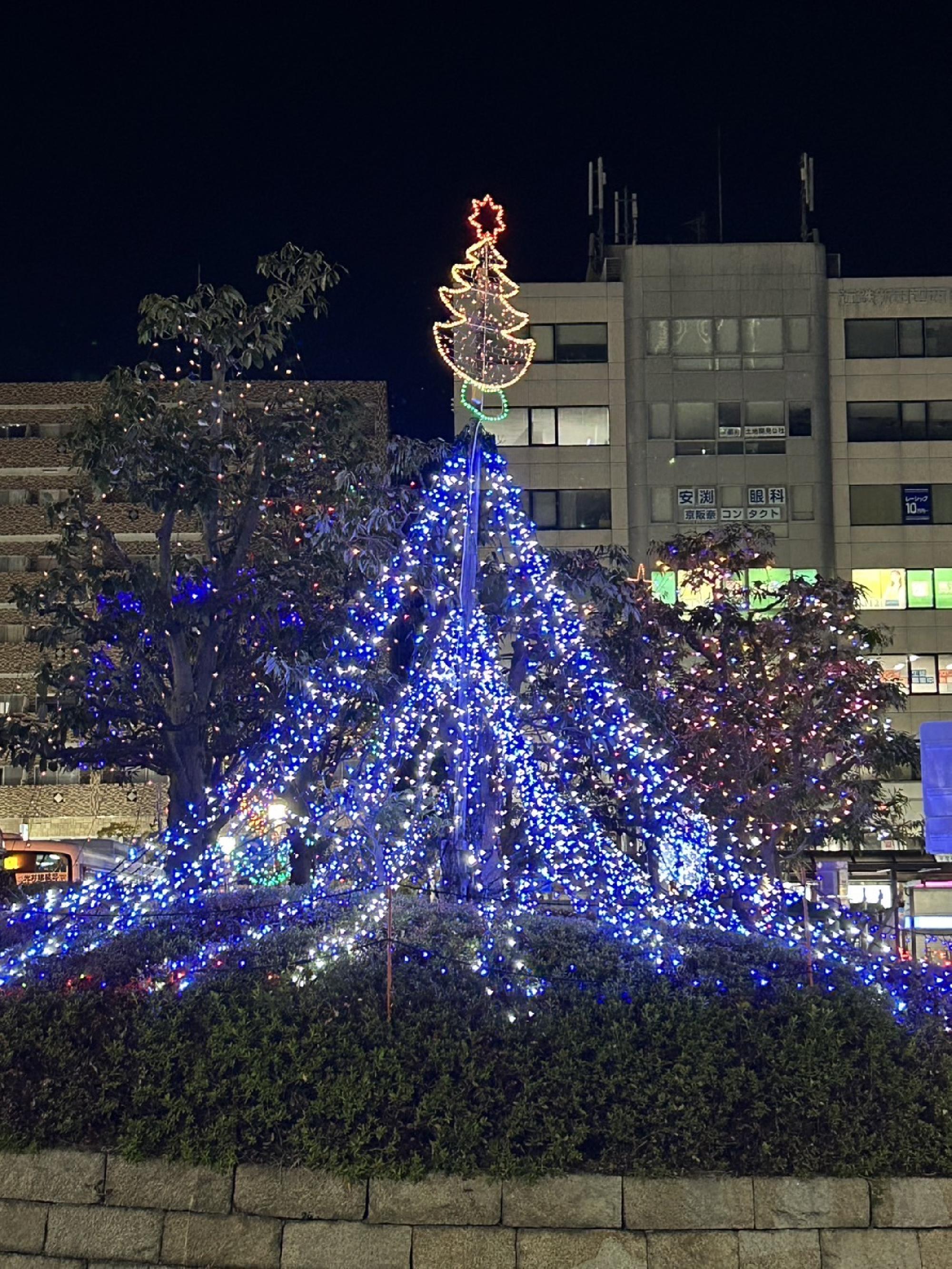 Xmasイルミネーション_画像