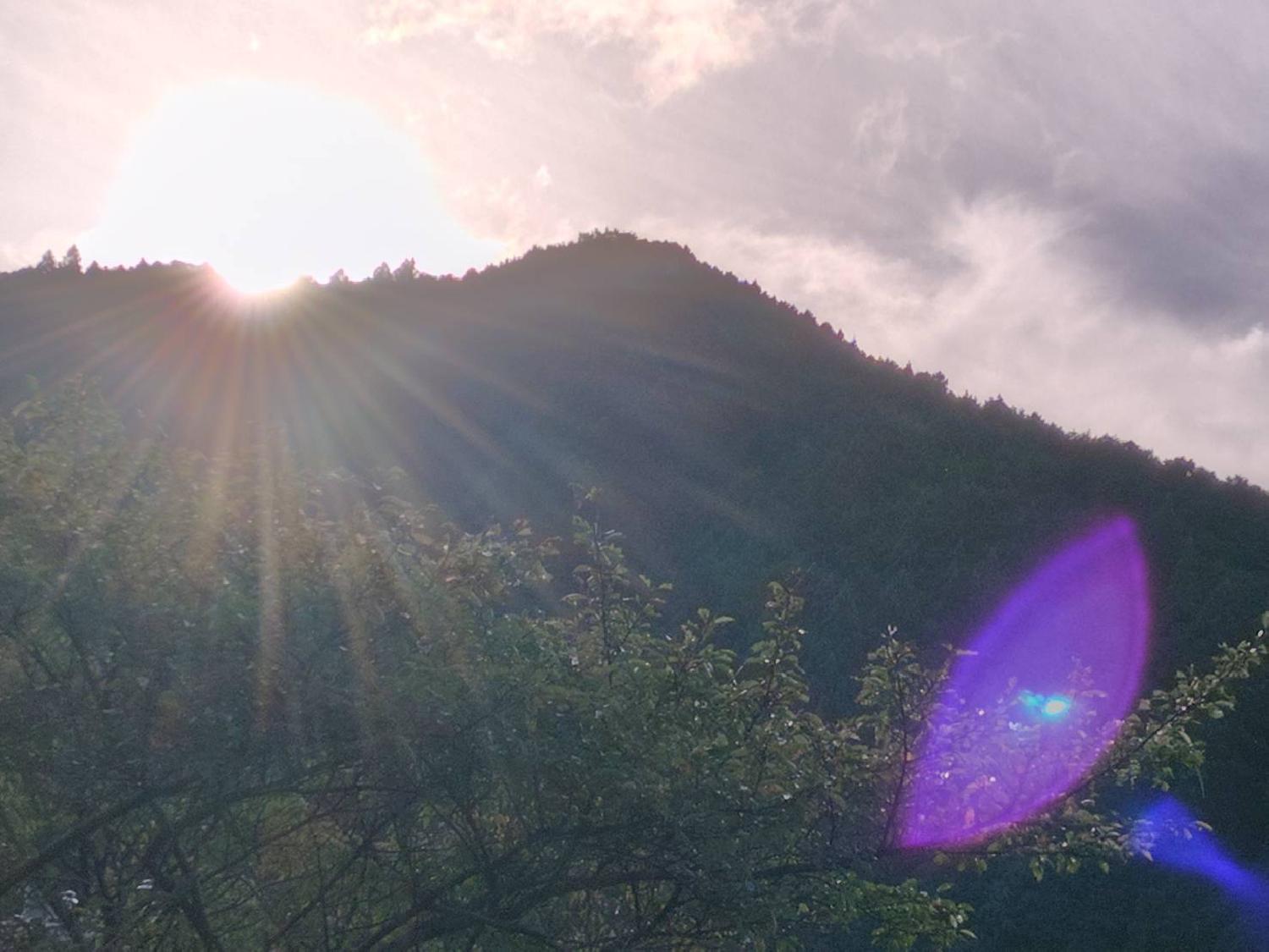  朝拝・共振・共鳴